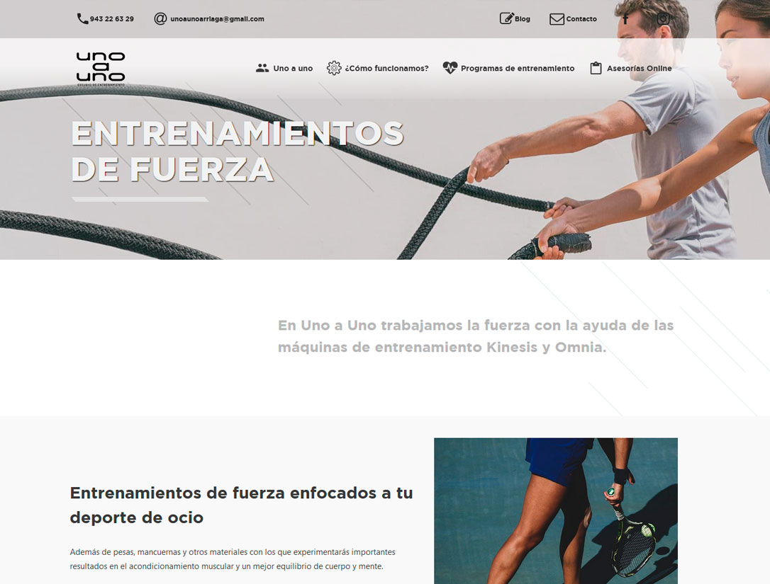 Diseño y desarrollo web - Donostia - San Sebastián