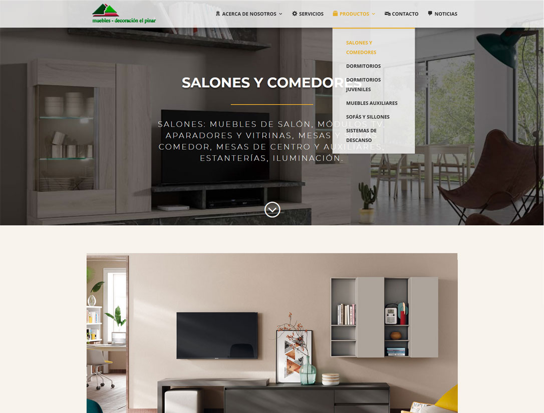 Diseño web profesional en Irún